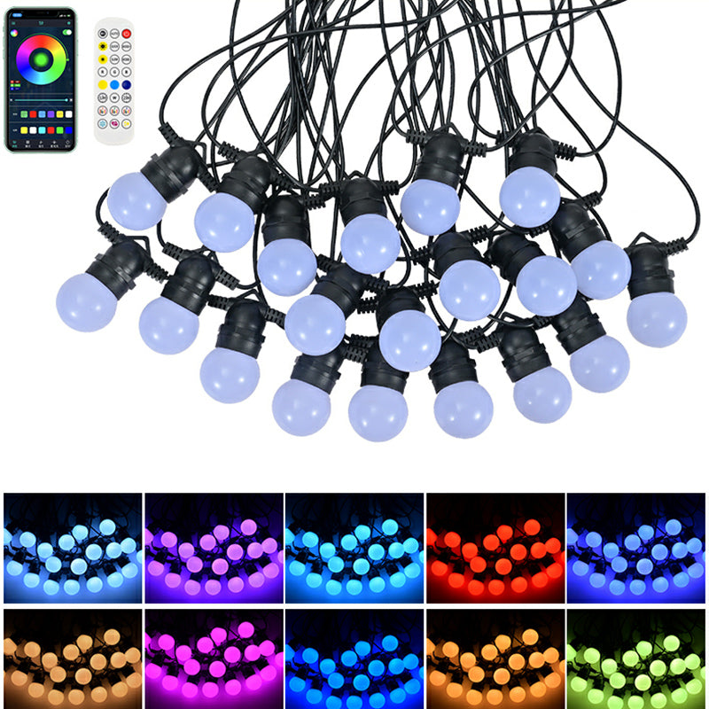 Decorative String Lamp Multicolor RGB Smart App Control Led String Lights