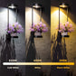 New Arrival Solar Powered Garden Courtyard Led Wall Mounted Lights Outdoor IP65 Waterproof Plant Decoration Wall Light