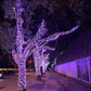 Outdoor Garden Color Decoration String Light Waterproof LED Solar Christmas Lights
