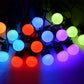 Decorative String Lamp Multicolor RGB Smart App Control Led String Lights